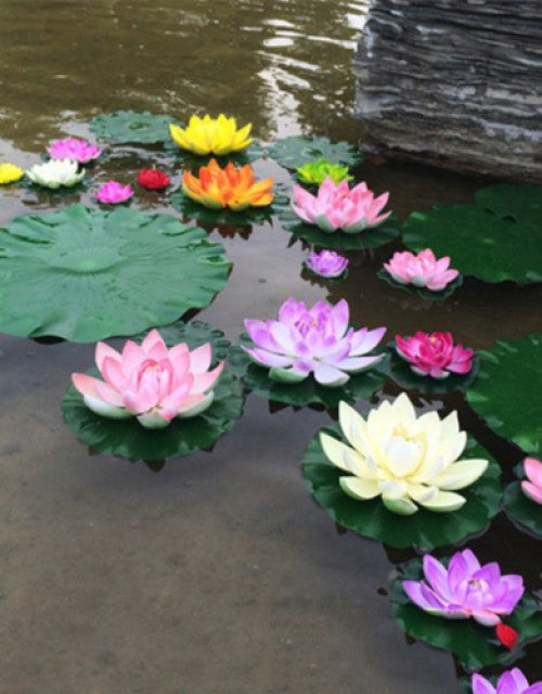 Garden Essentials – Tools, Decor & Supplies for Every Gardener