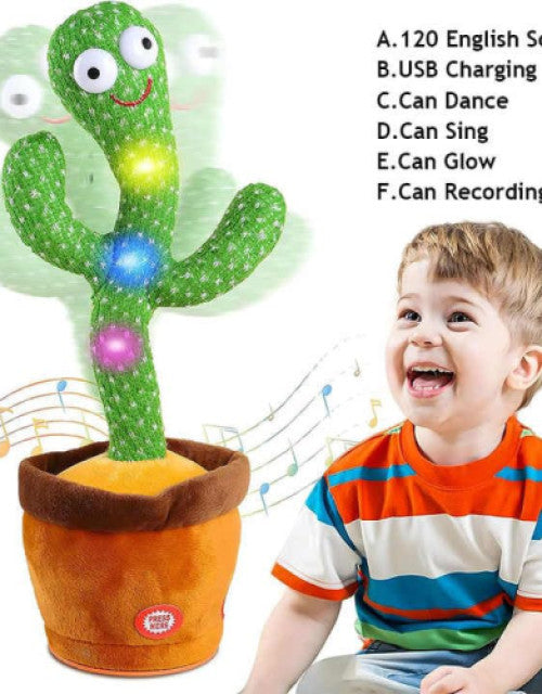 5906